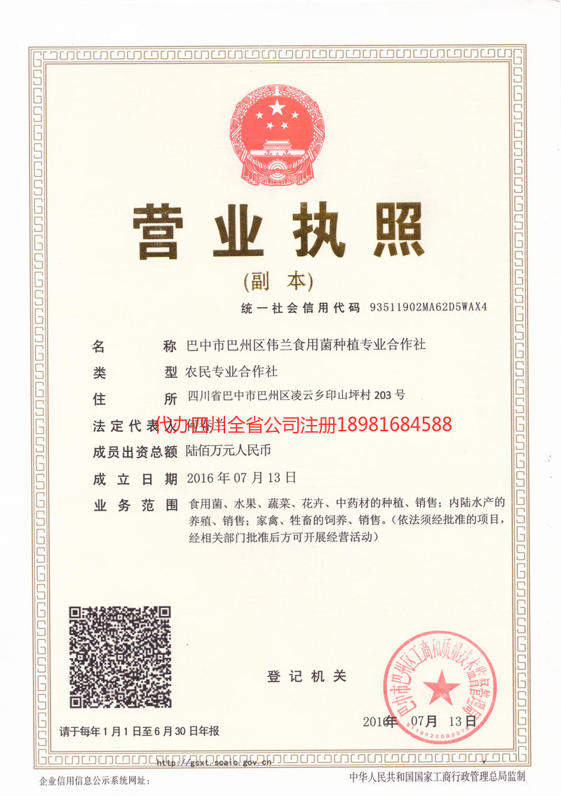 梅河口梅河口伟兰食用菌种植专业合作社